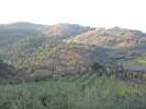 Toscana 07_052.JPG